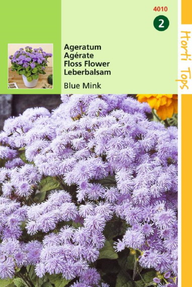 Flossflower Blue Mink (Ageratum) 2000 seeds HT